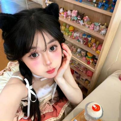 双子座计划