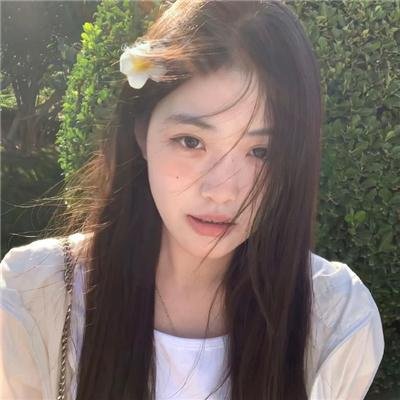 纪录动画